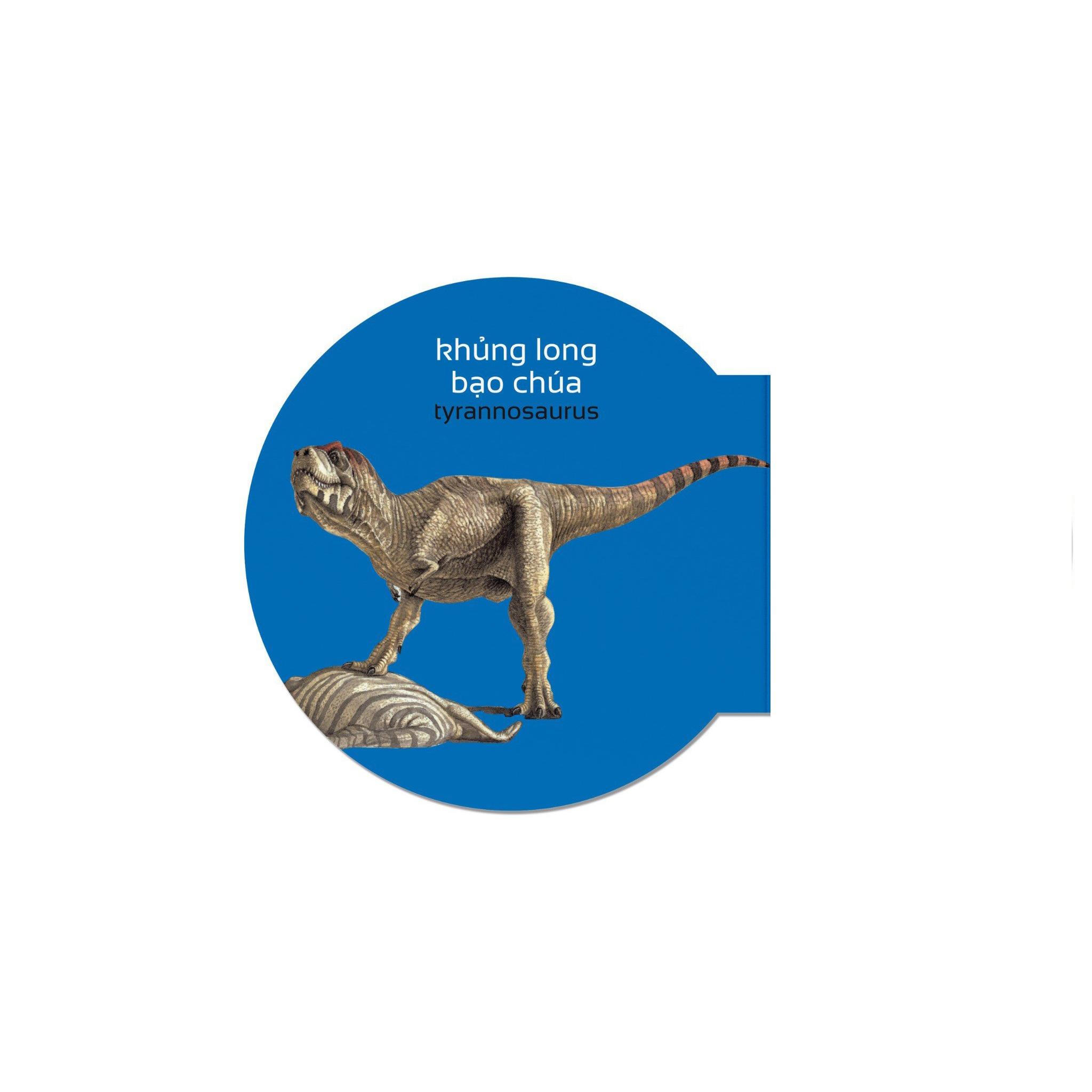 Picture Dictionary - Từ Điển Bằng Hình - Dinosaurs - Khủng Long - Bìa Cứng