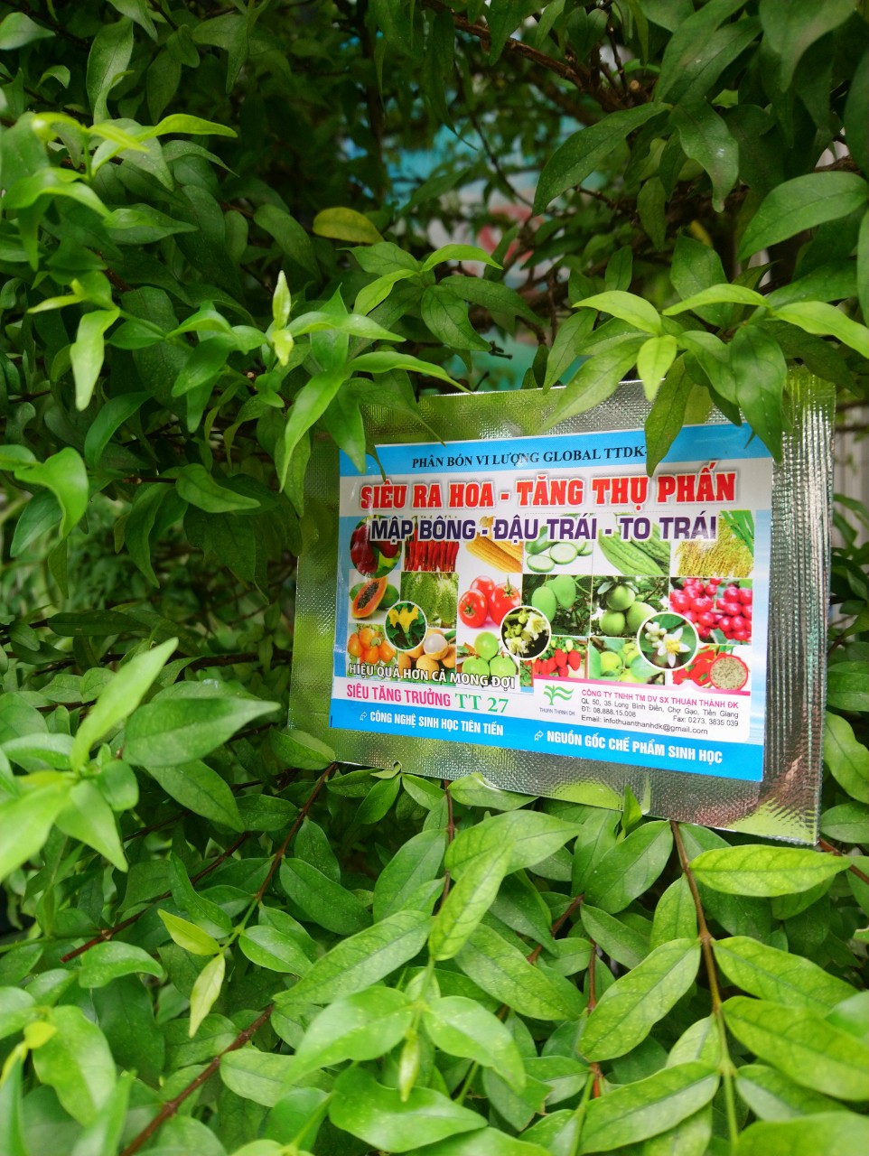 Phân bón lá - Chế phẩm sinh học - Siêu ra hoa, tăng thụ phấn - Siêu tăng trưởng - Gói 12ml.