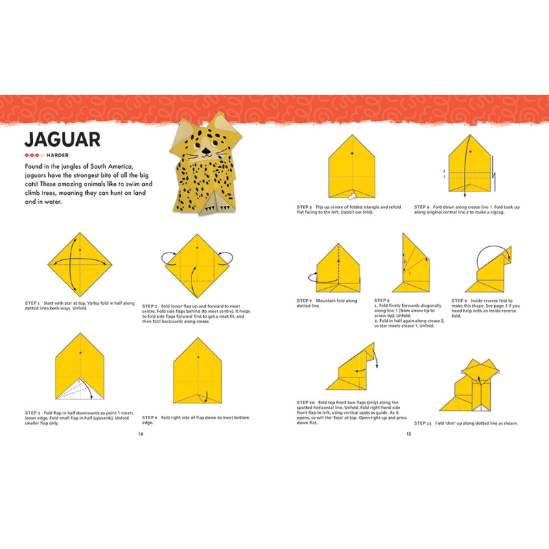 Sách Origami Activity Book - Wild Animals