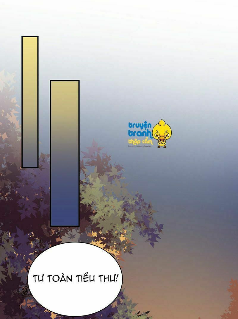 chọc tới chủ tịch tổng tài 2 chapter 63 23