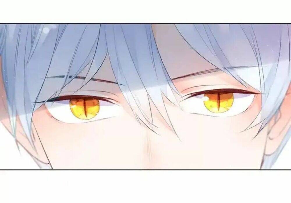 sos! tôi đã yêu một con sâu bướm (phần 2) chapter 39 15