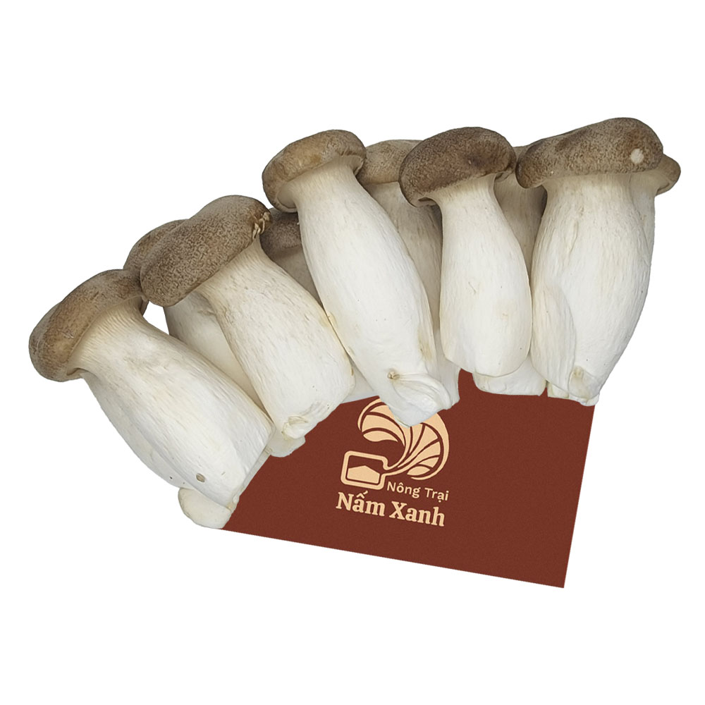 Nấm Đùi Gà Tươi 500gr - Nông Trại Nấm Xanh