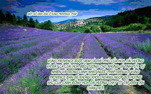 versailles no bara chapter 5 36