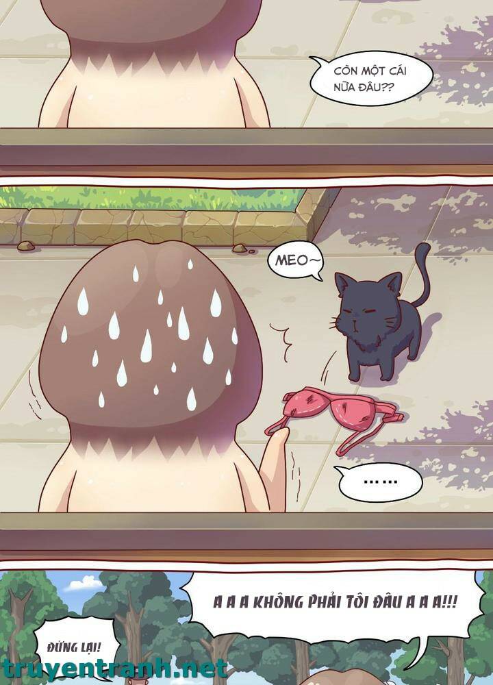 cây nấm kì khả chapter 1 5