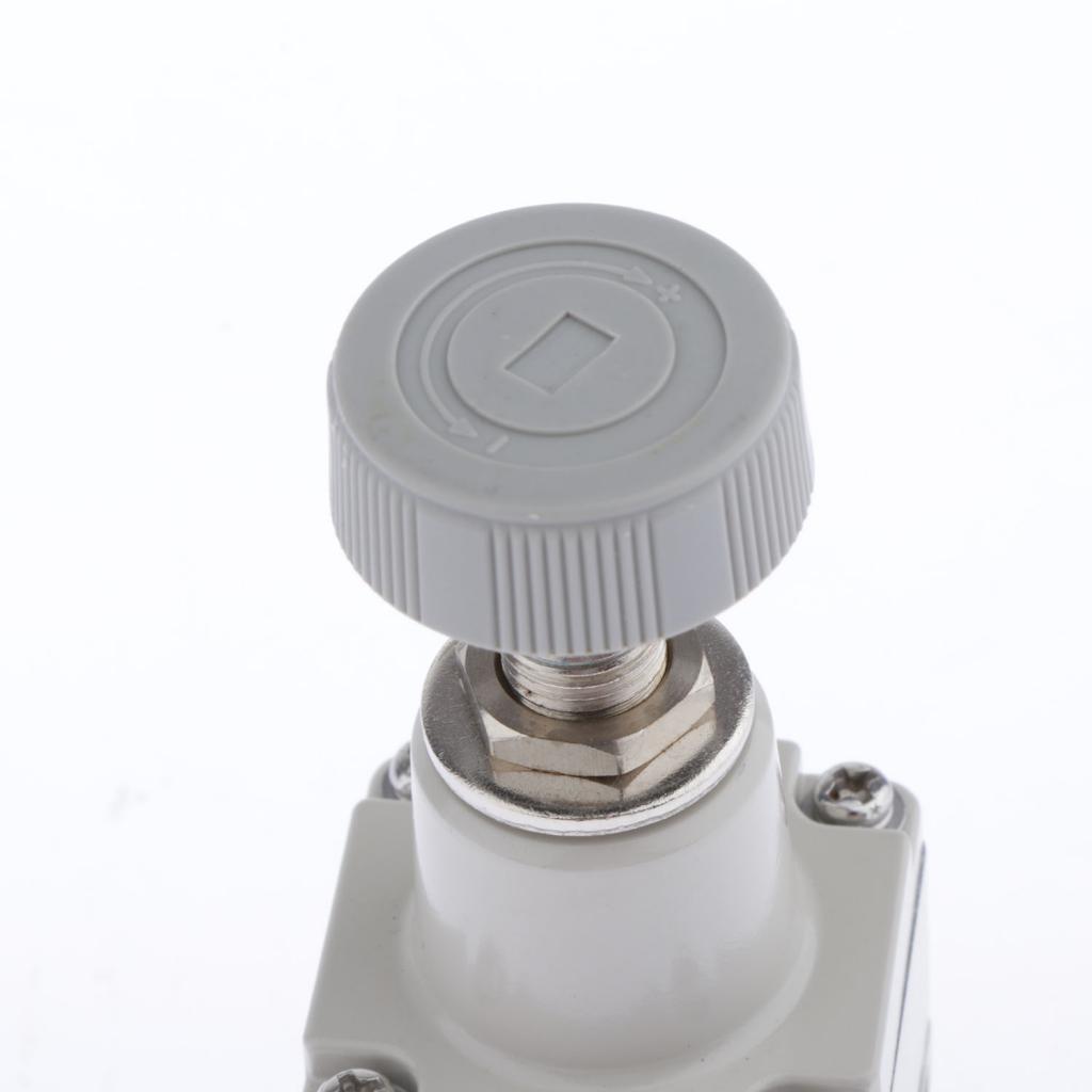 IR1000-01 1/8" Precision Air Pressure Regulating Relief Valve with Gauge