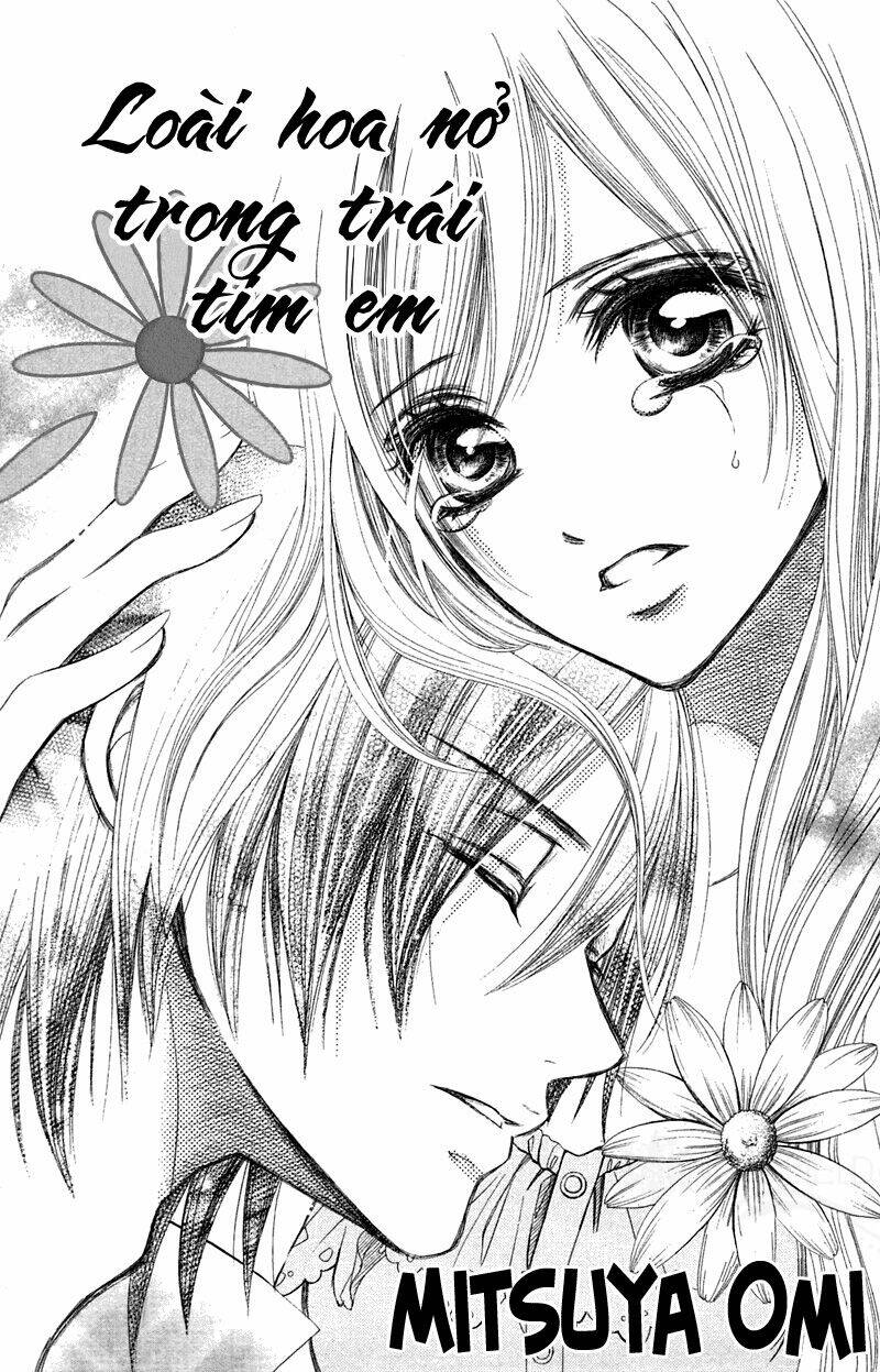 the flower that bloom in you chapter 1 4