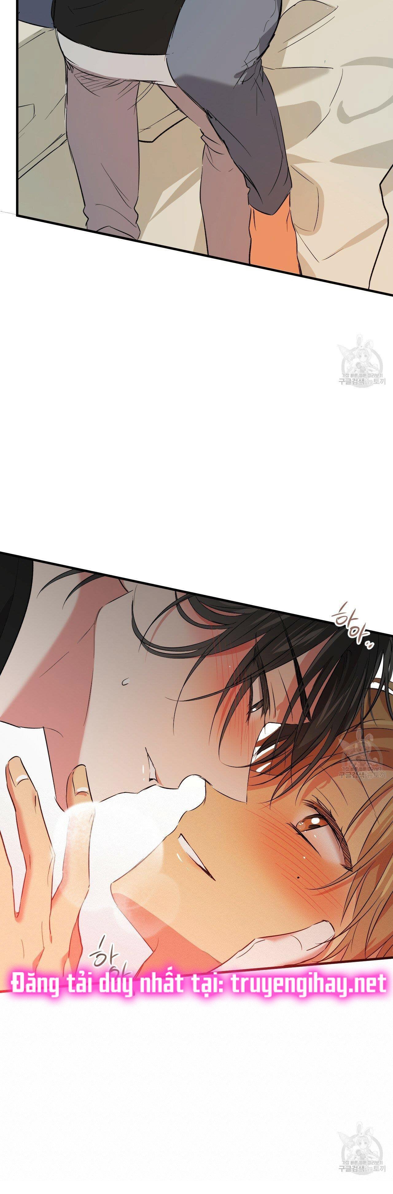 những chú thỏ của hapypy chapter 53.2 33