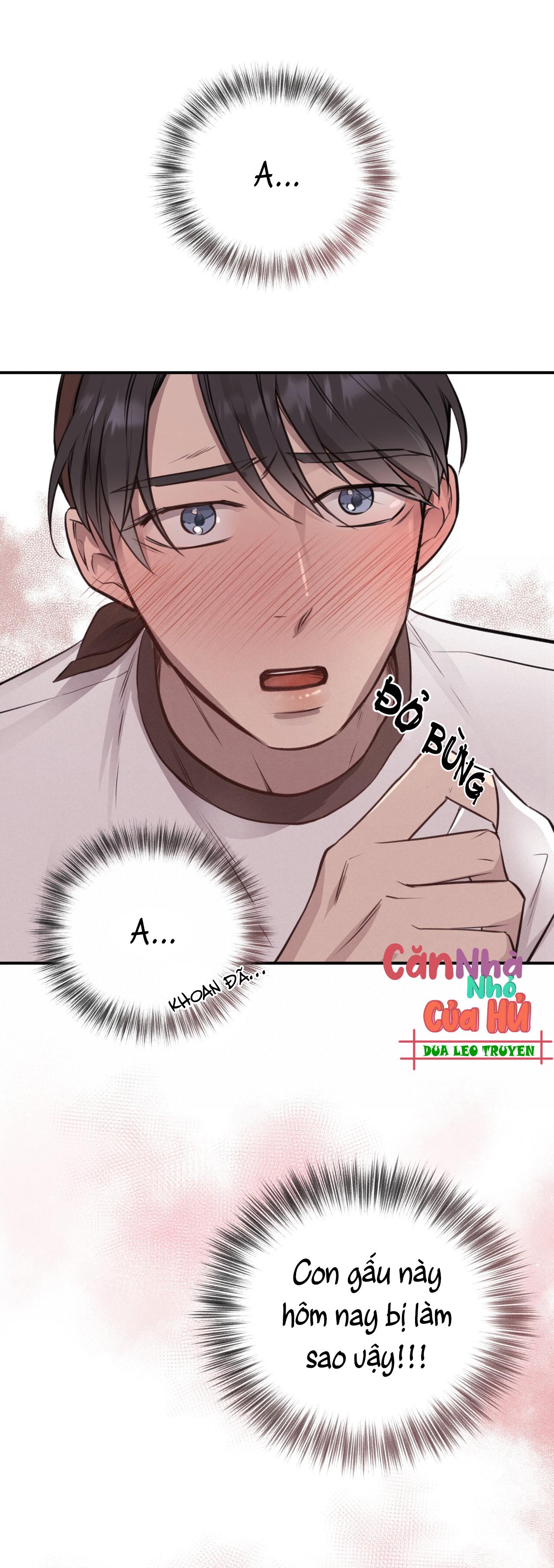 mật gấu chapter 8 13