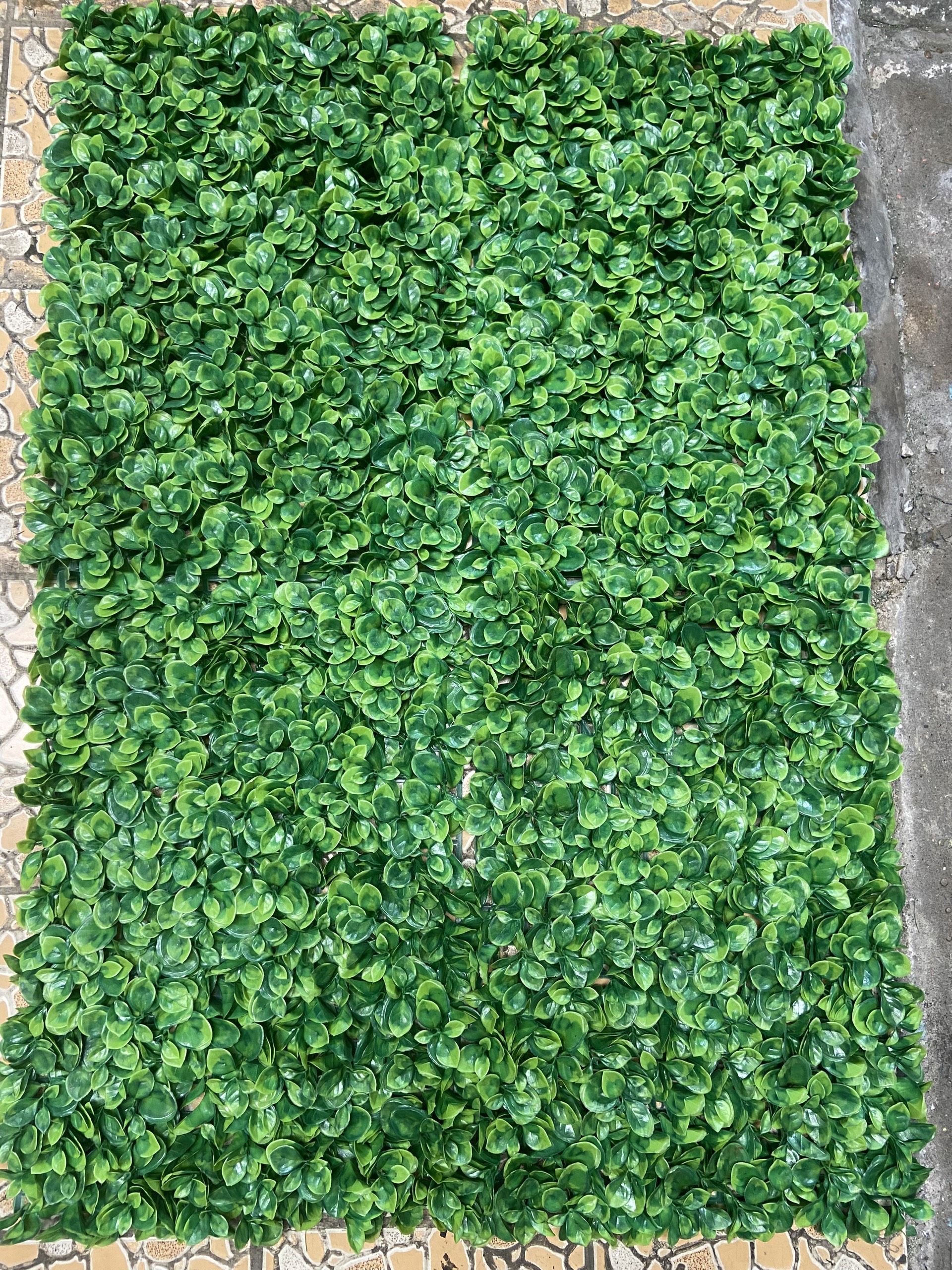Tấm cỏ nhựa làm tường cây giả - Lá trà xanh - kích thước 40x60cm - tấm vỉ cỏ nhựa trang trí tường