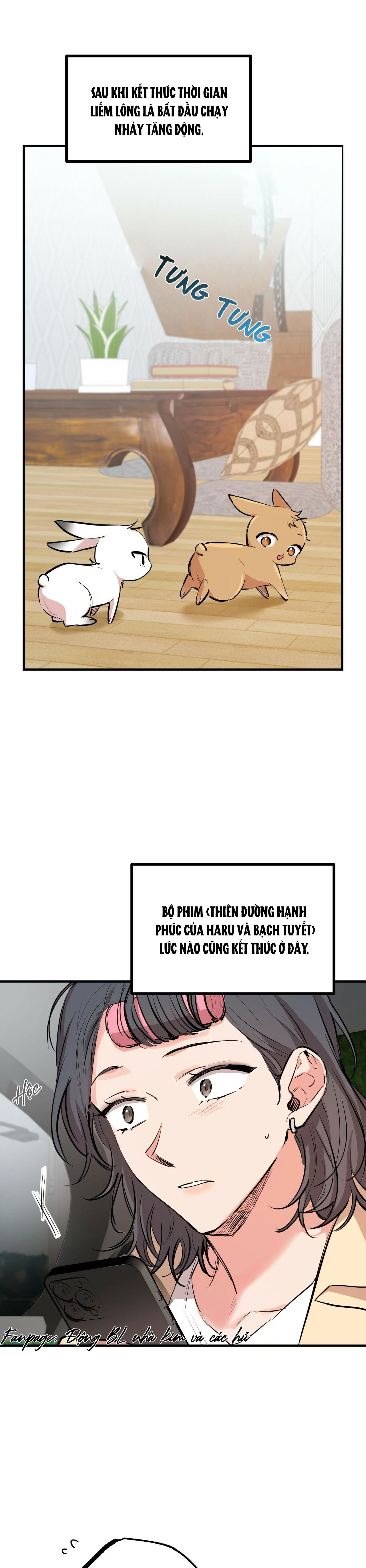 những chú thỏ của hapypy chapter 28 31