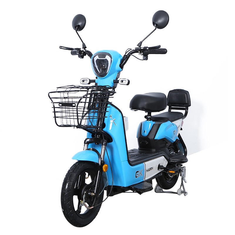 Xe Đạp Điện Phiên Bản Mới Nhất Hàng Tiêu Chuẩn Quốc Gia