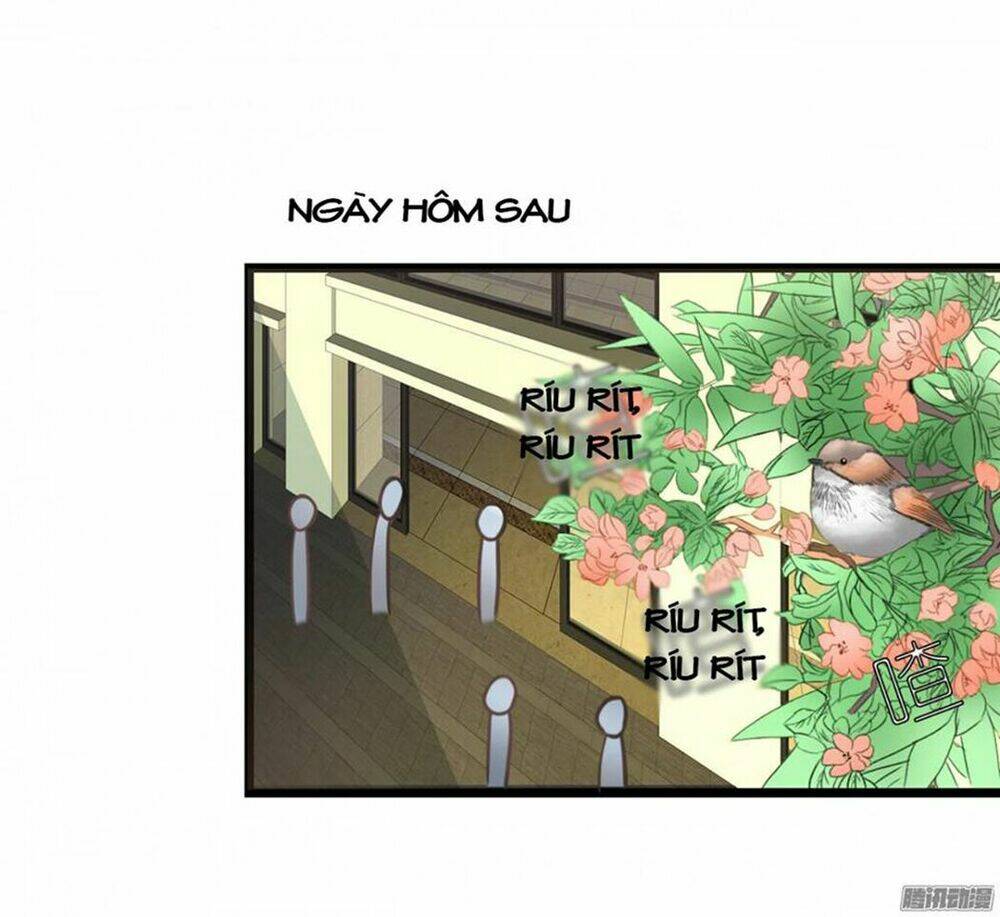 em muốn chiếm lấy nụ hôn của anh chapter 9 27