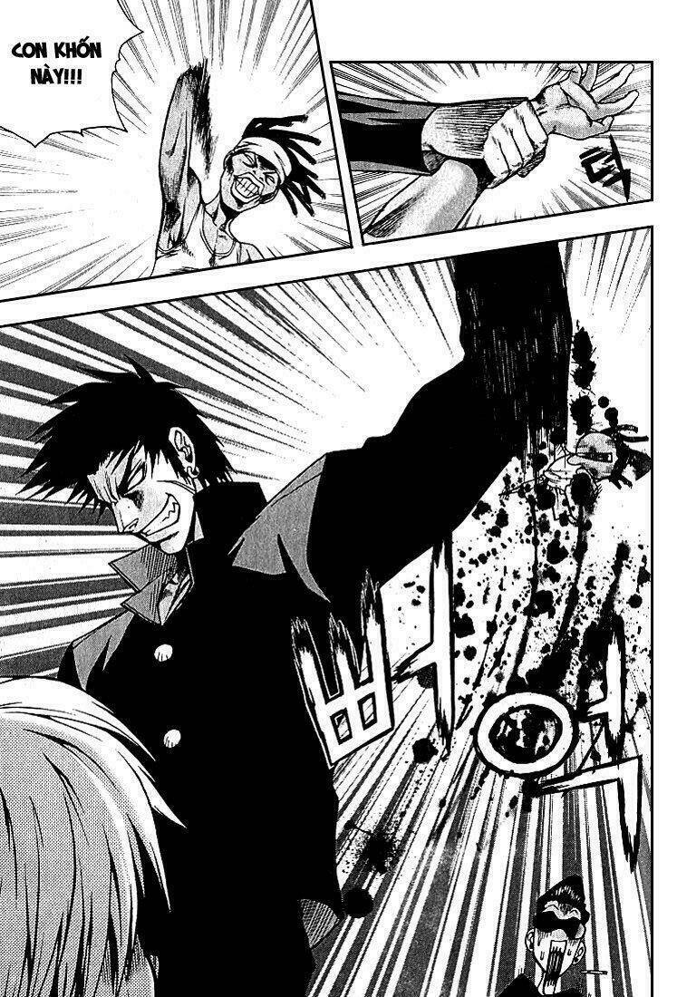 zippy ziggy chapter 11 14