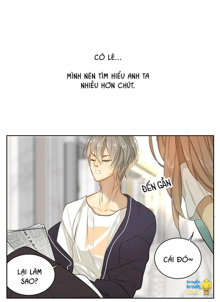 cứu mạng ! loài mèo thống trị thế giới rồi ! chapter 13 17