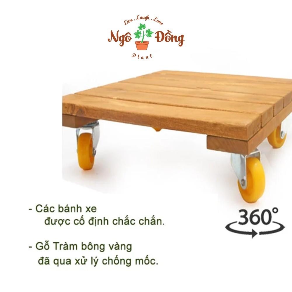 Đế Lót Chậu Cây Cảnh Chậu Hoa Bằng Gỗ Tràm Hình Vuông R30cm Có Bánh Xe Khóa An Toàn