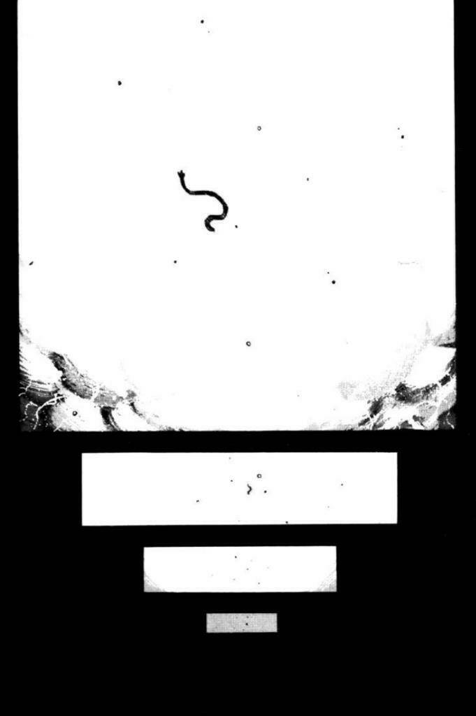 3x3 eyes chapter 56 10