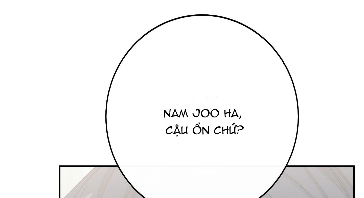 lãng mạn giả dối chapter 13 102