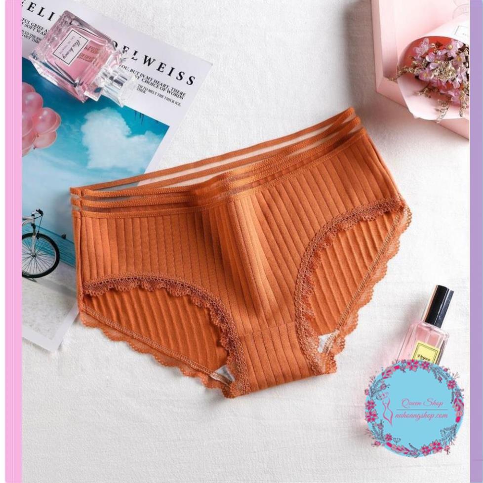 Quần Lót Cotton Tăm Cạp Viền Cao Cấp Quần lót nữ cotton co dãn mềm mịn DL108