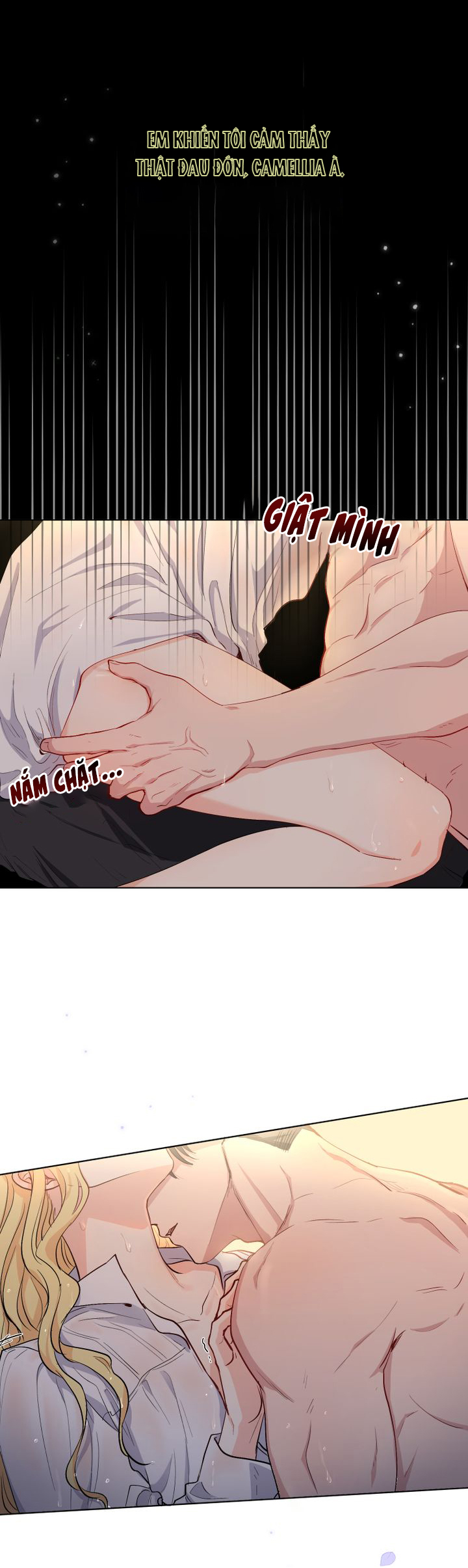 tìm lại nàng camellia chapter 0 8