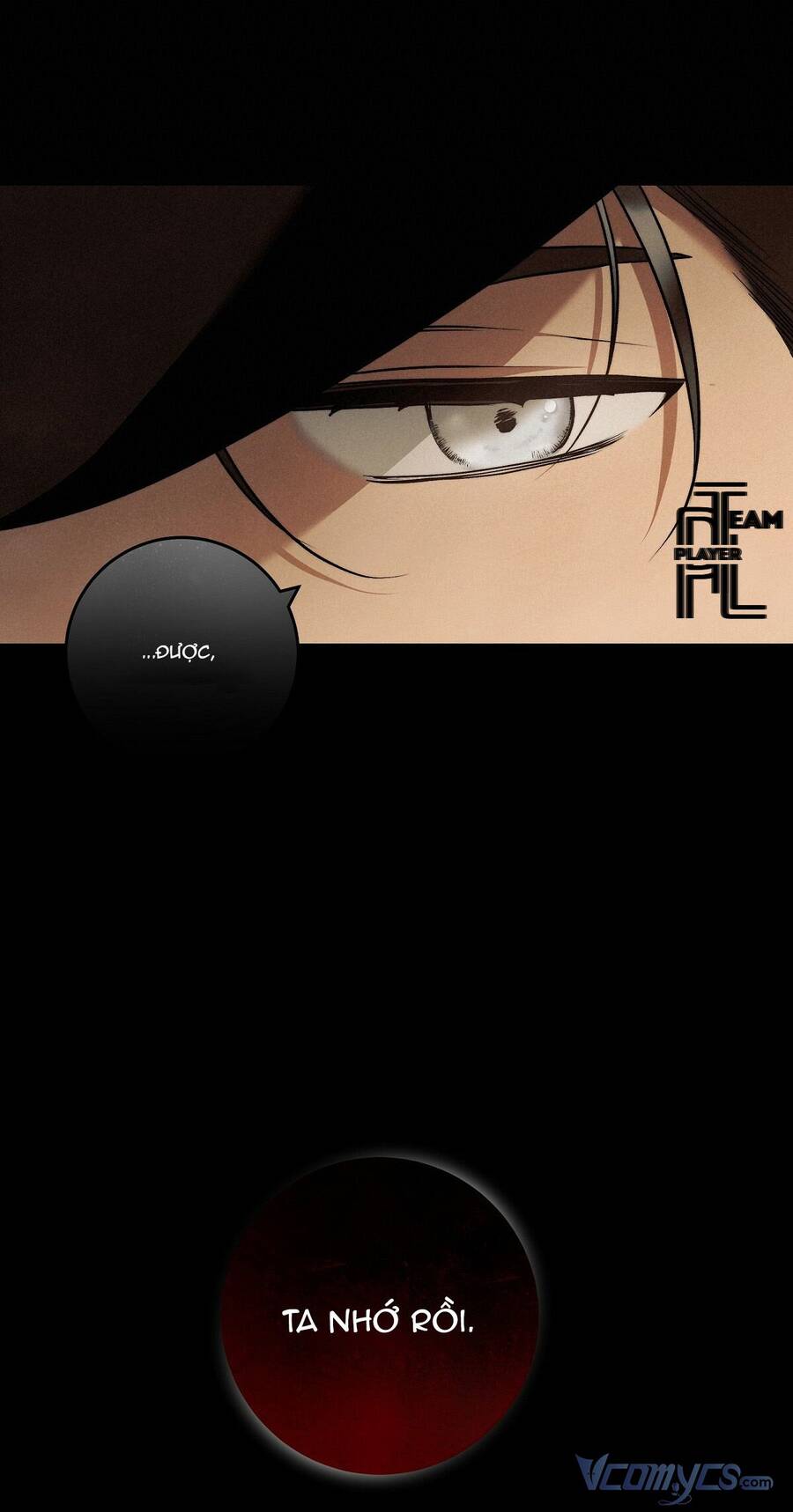 lời nói dối vĩnh cửu của người chapter 30 19