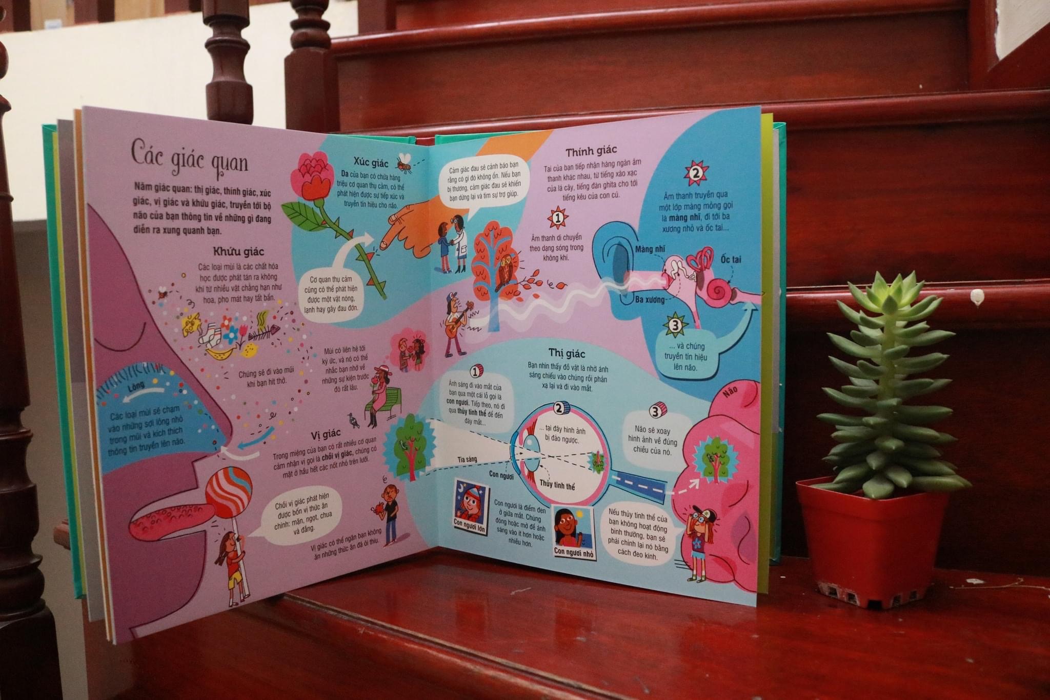 Sách Tương Tác - Big Book - Cuốn Sách Khổng Lồ – Đinh Tị