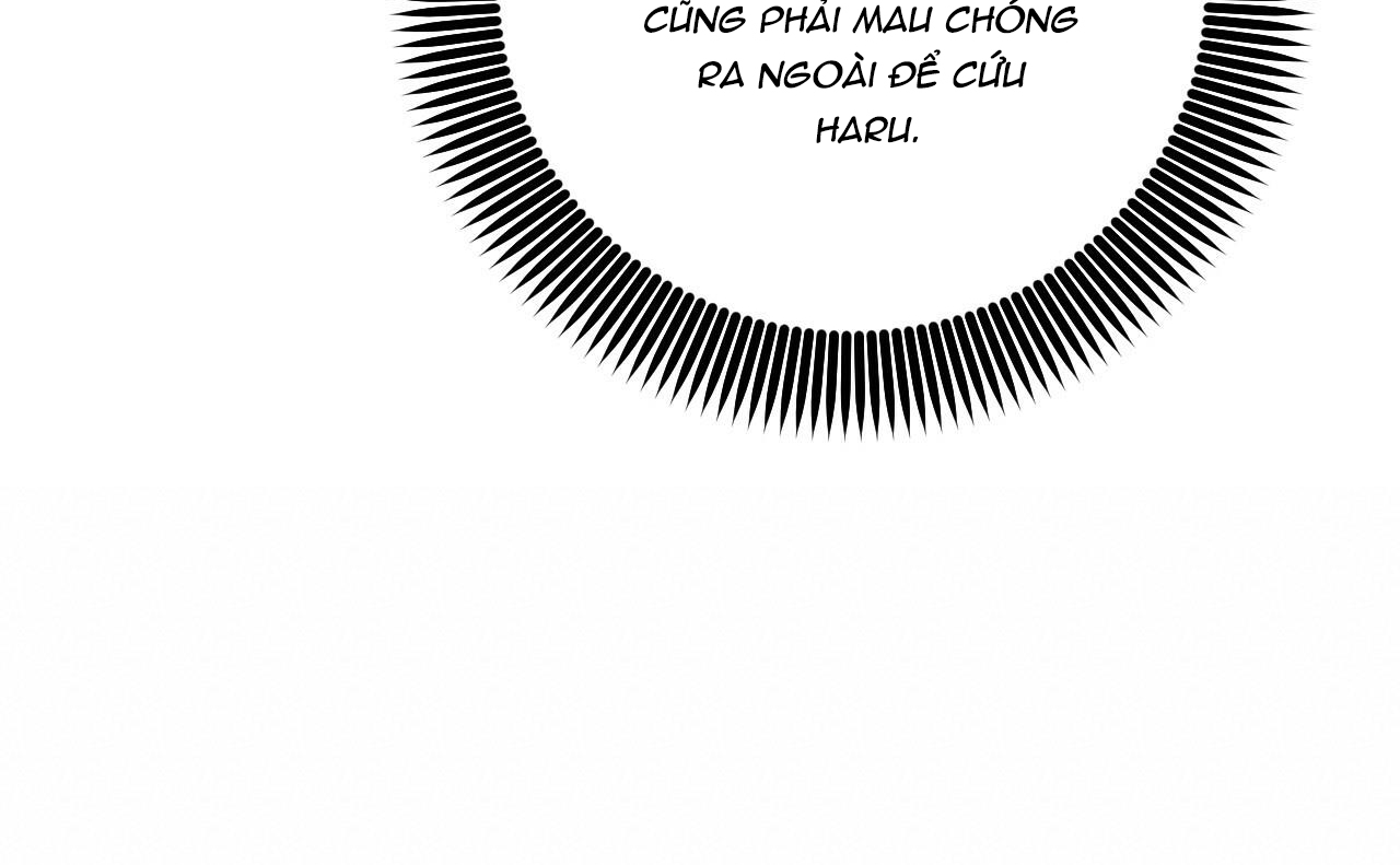 đàn thỏ của habibi chapter 46 256