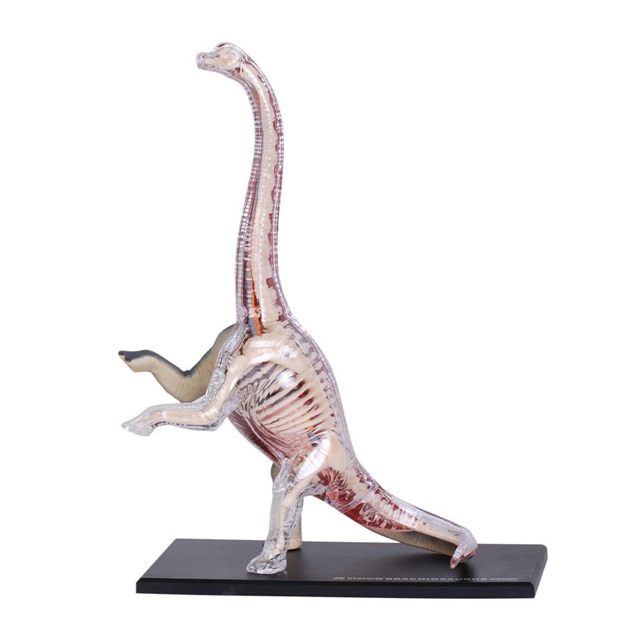 Đồ Chơi Mô Hình Giải Phẫu 4D - Khủng Long Brachiosaurus 4D Master 622015