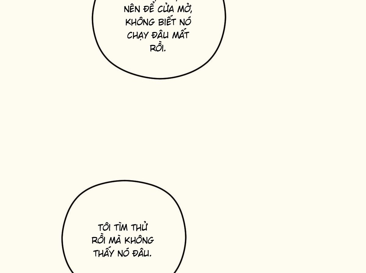 tương phùng chapter 37 152