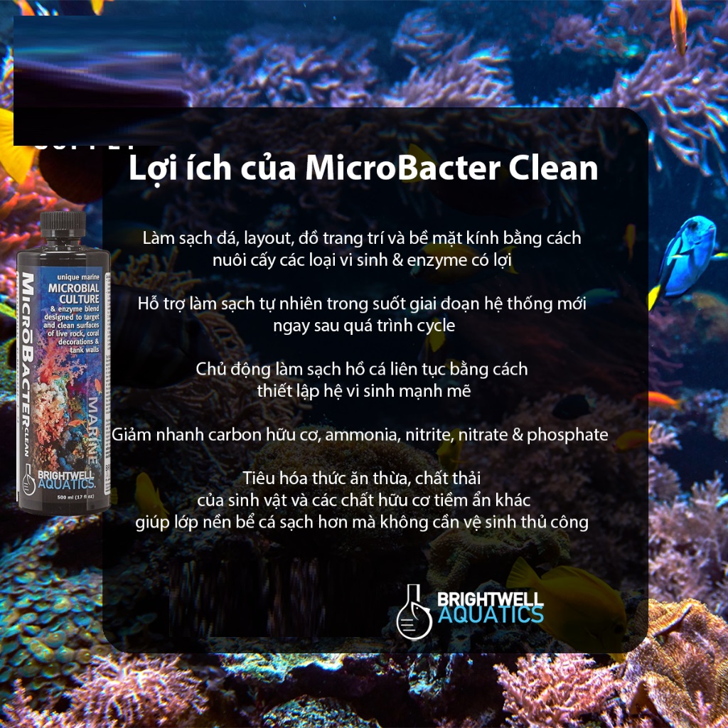 Vi sinh MICROBACTER CLEAN cho hồ cá biển - vi sinh làm sạch hồ cá biển, bể nước mặn hiệu quả -phụ kiện cá biển