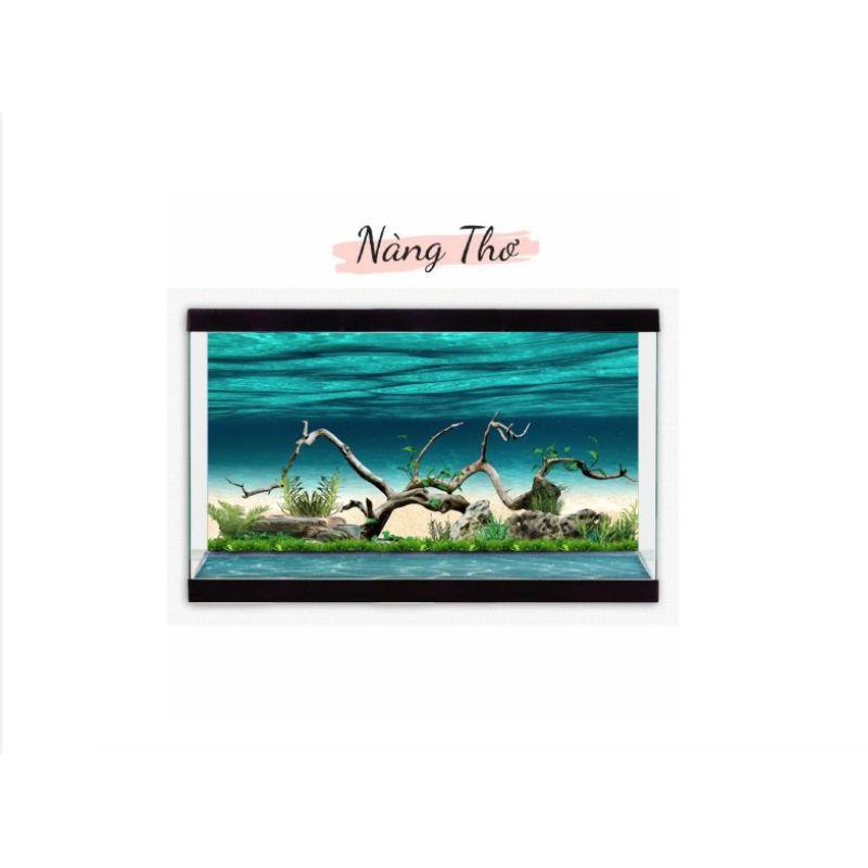 Decal dán hồ cá 3D