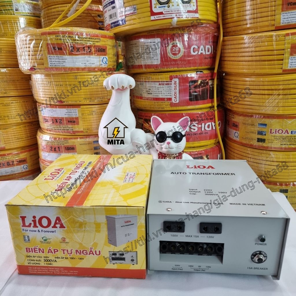 Biến Áp Đổi Nguồn Hạ Áp LIOA - Biến Áp Đổi Nguồn LiOA 3000VA - MITA