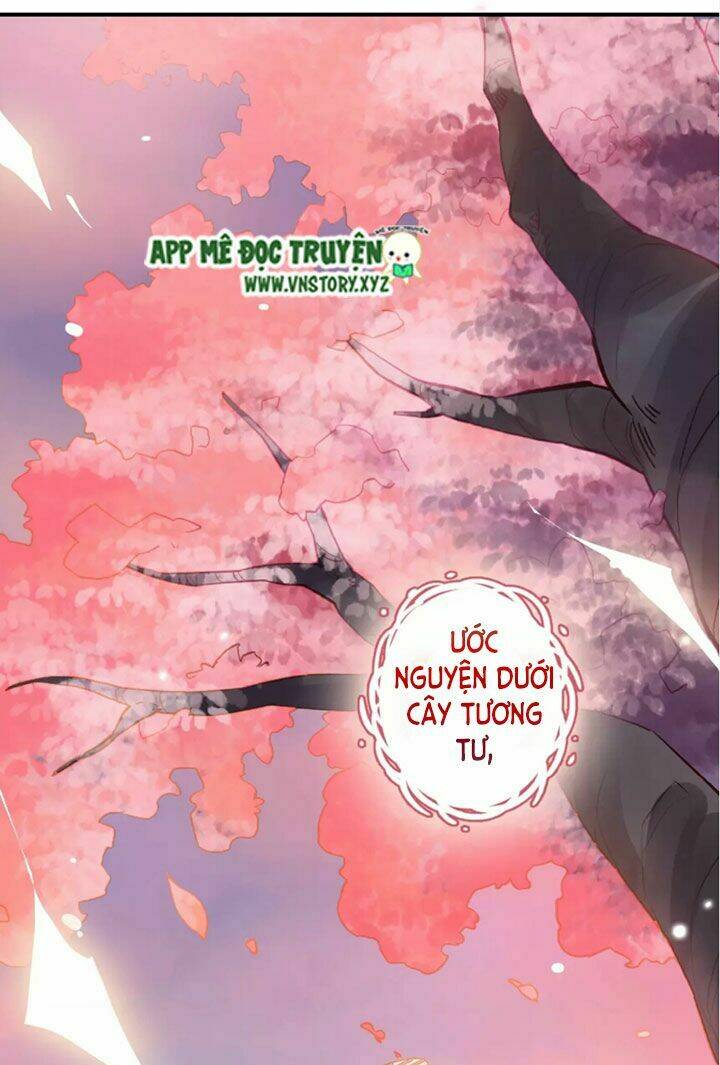 cái vòng này thật loạn chapter 19.5 23