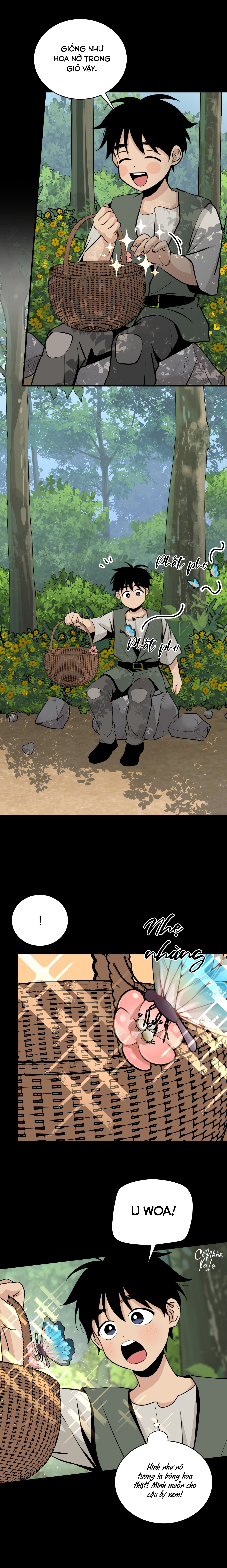 loài hoa không tên chapter 14 3