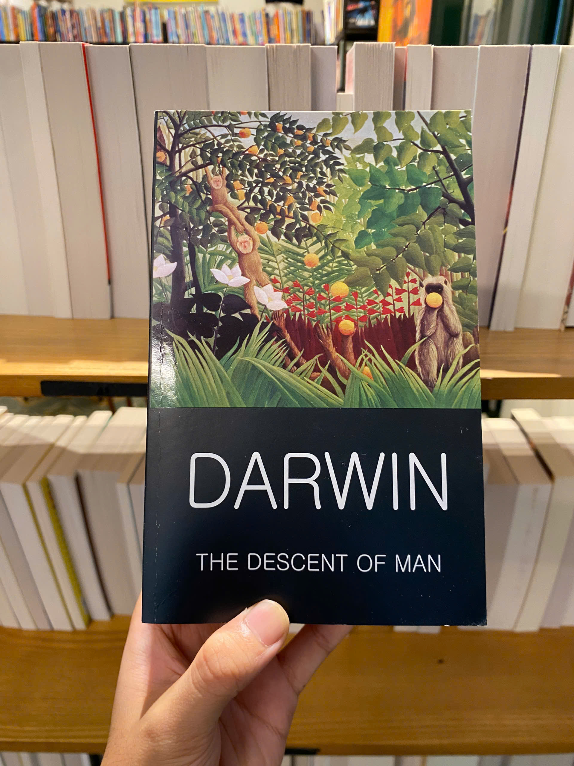 Sách - The Descent Of Man by Charles Darwin - Science/Nonfiction book in English - Ngoại Văn