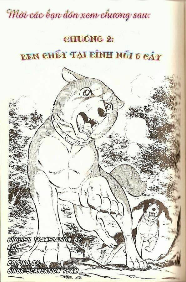 chú chó có nghĩa - ginga nagareboshi gin chapter 15 12