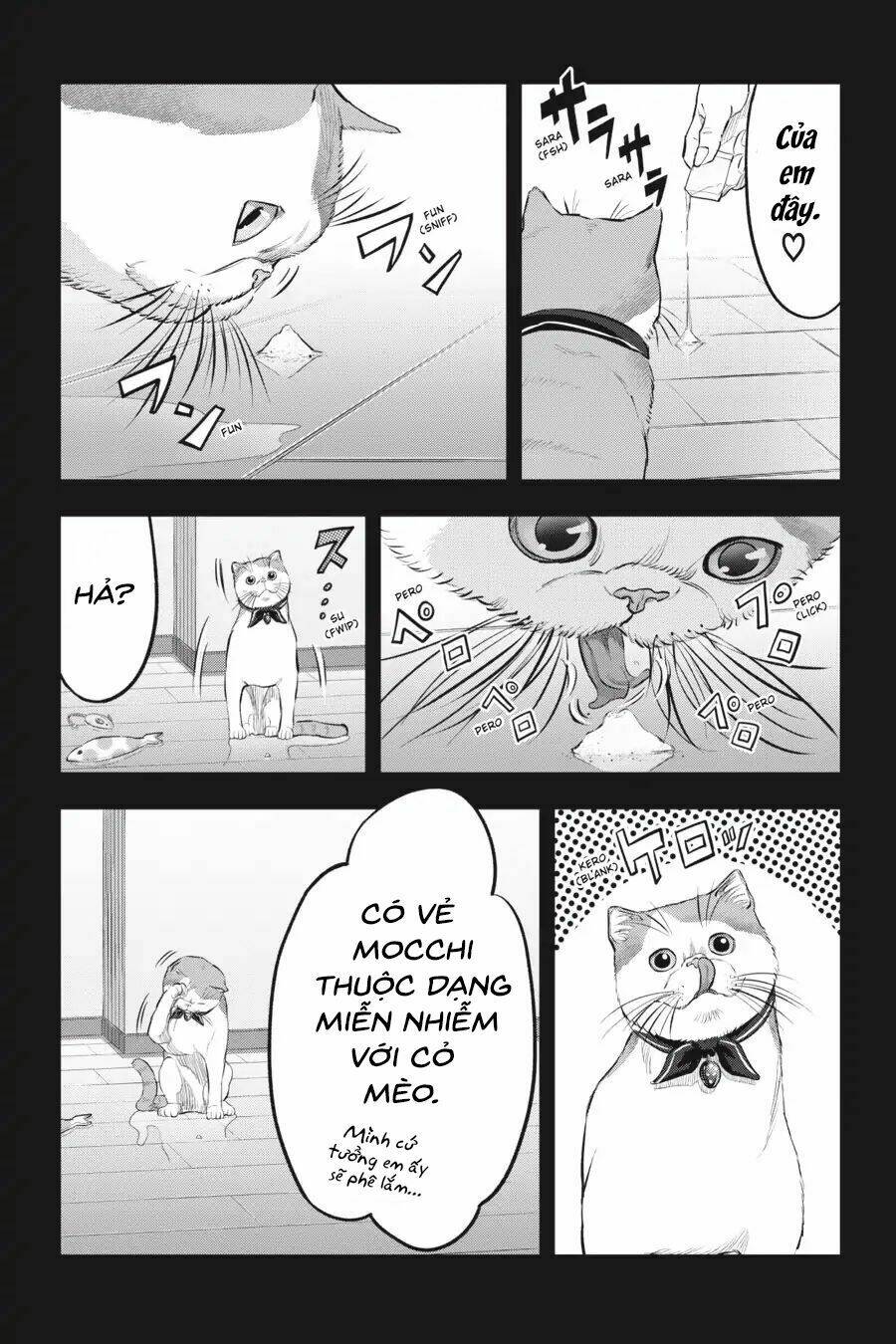 nyankees chapter 14 20