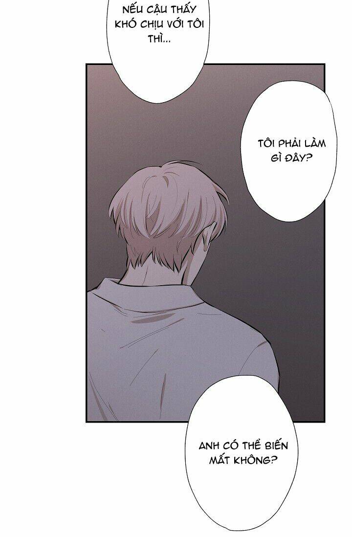 trốn tìm chapter 20 49