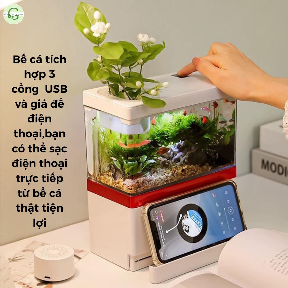 Bể Cá Mini FISH TANK Để Bàn Làm Việc Đa Chức Năng Hồ Thủy Sinh