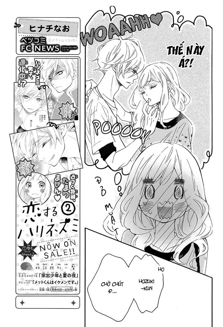 koisuru harinezumi chapter 13 25