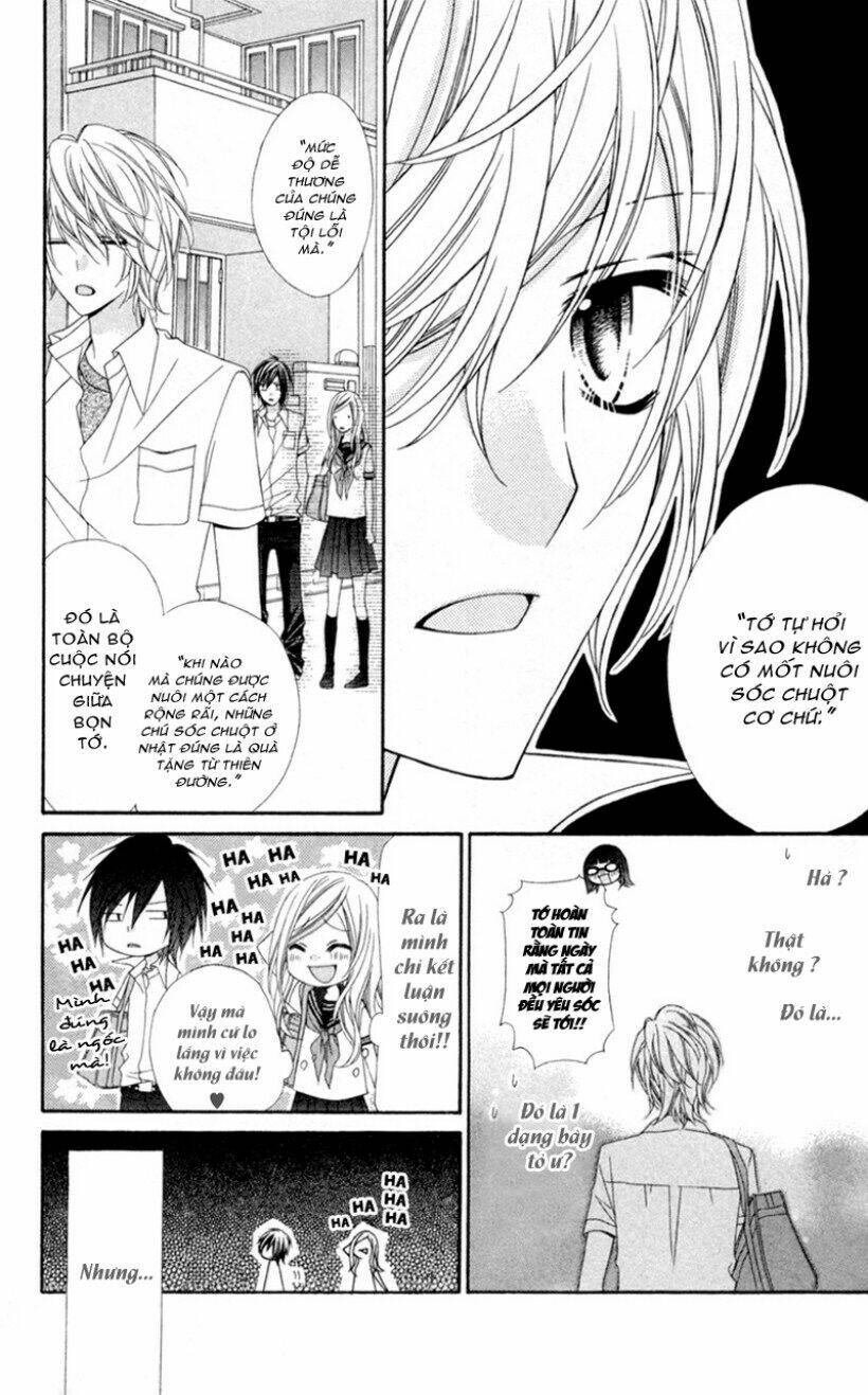 stardust wink chapter 3 8
