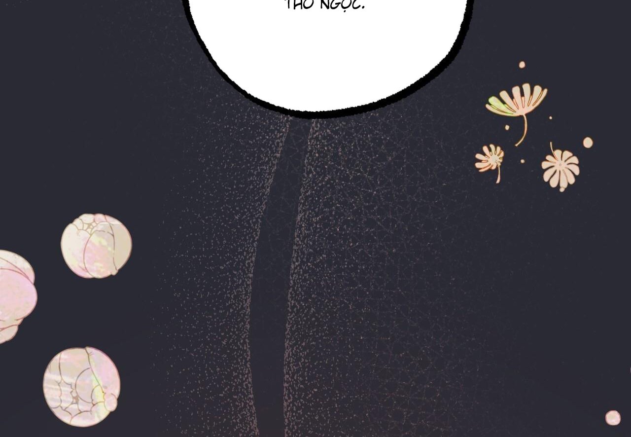 những chú thỏ của hapypy chapter 60 148