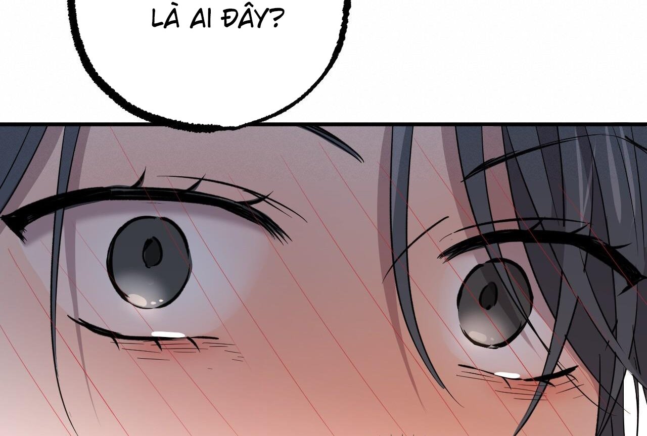 những chú thỏ của hapypy chapter 58 32