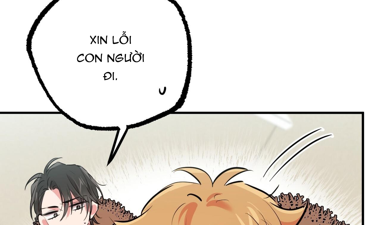 đàn thỏ của habibi chapter 31 23