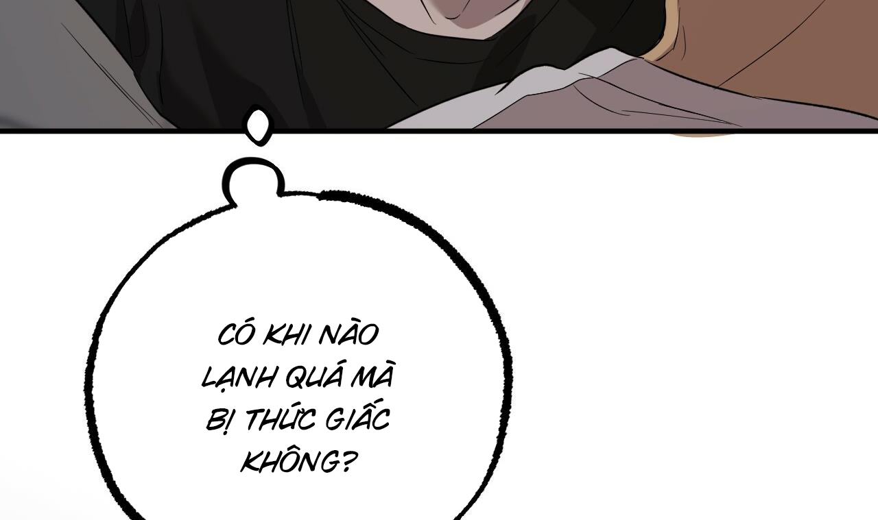 đàn thỏ của habibi chapter 55 42