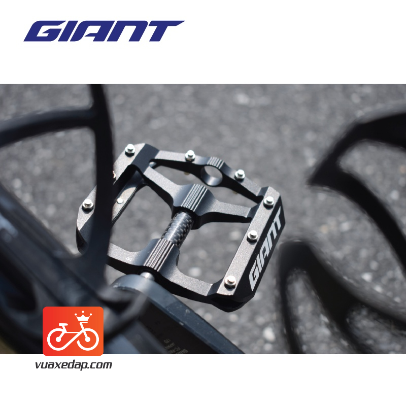 BÀN ĐẠP GIANT – HILL CARBON