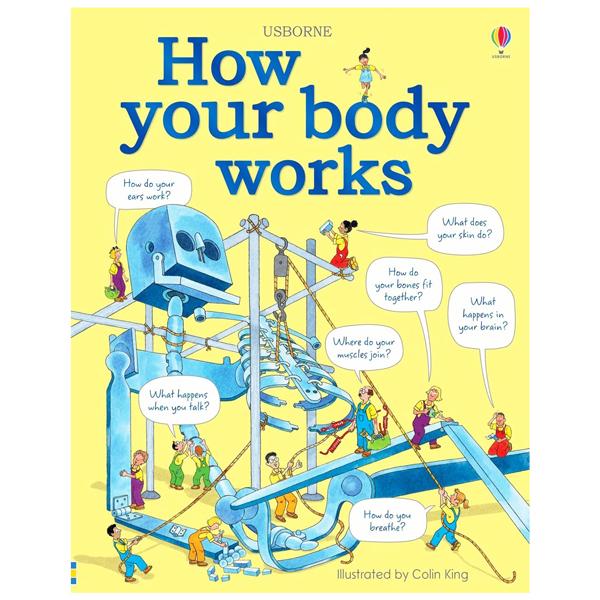 Sách ngoại văn: How Your Body Works