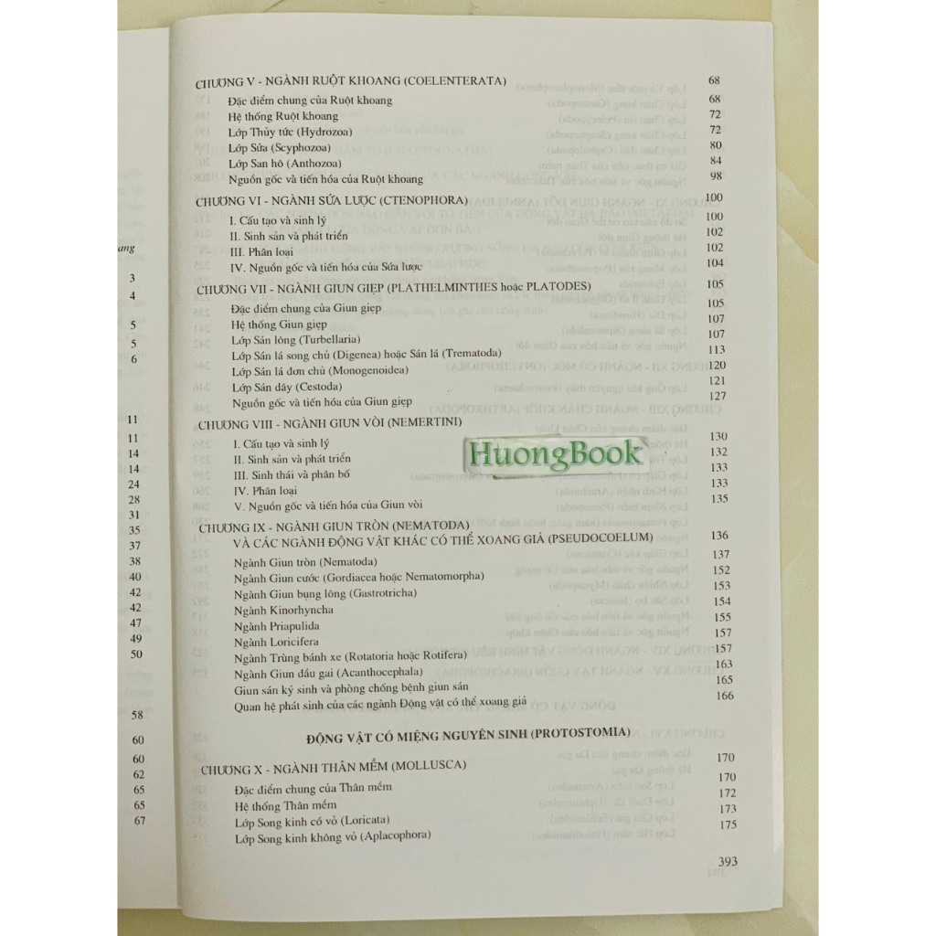Sách - Động Vật Không Xương Sống (DN)