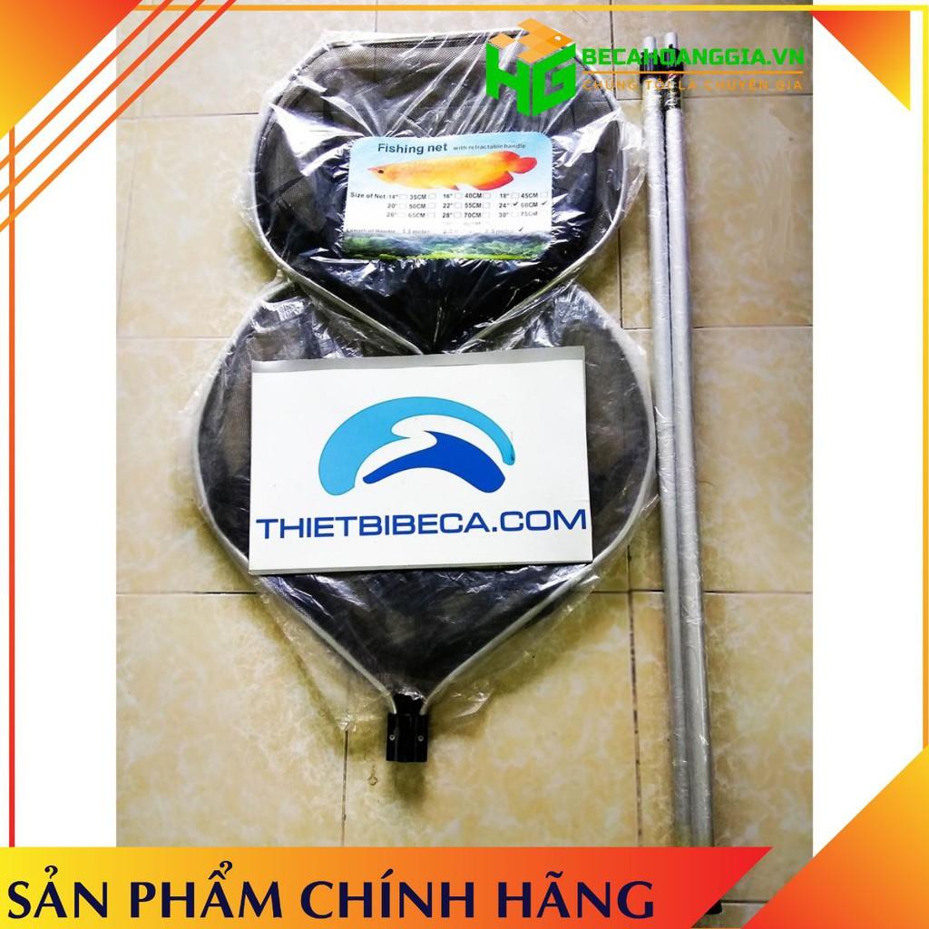 Vợt bắt cá Koi