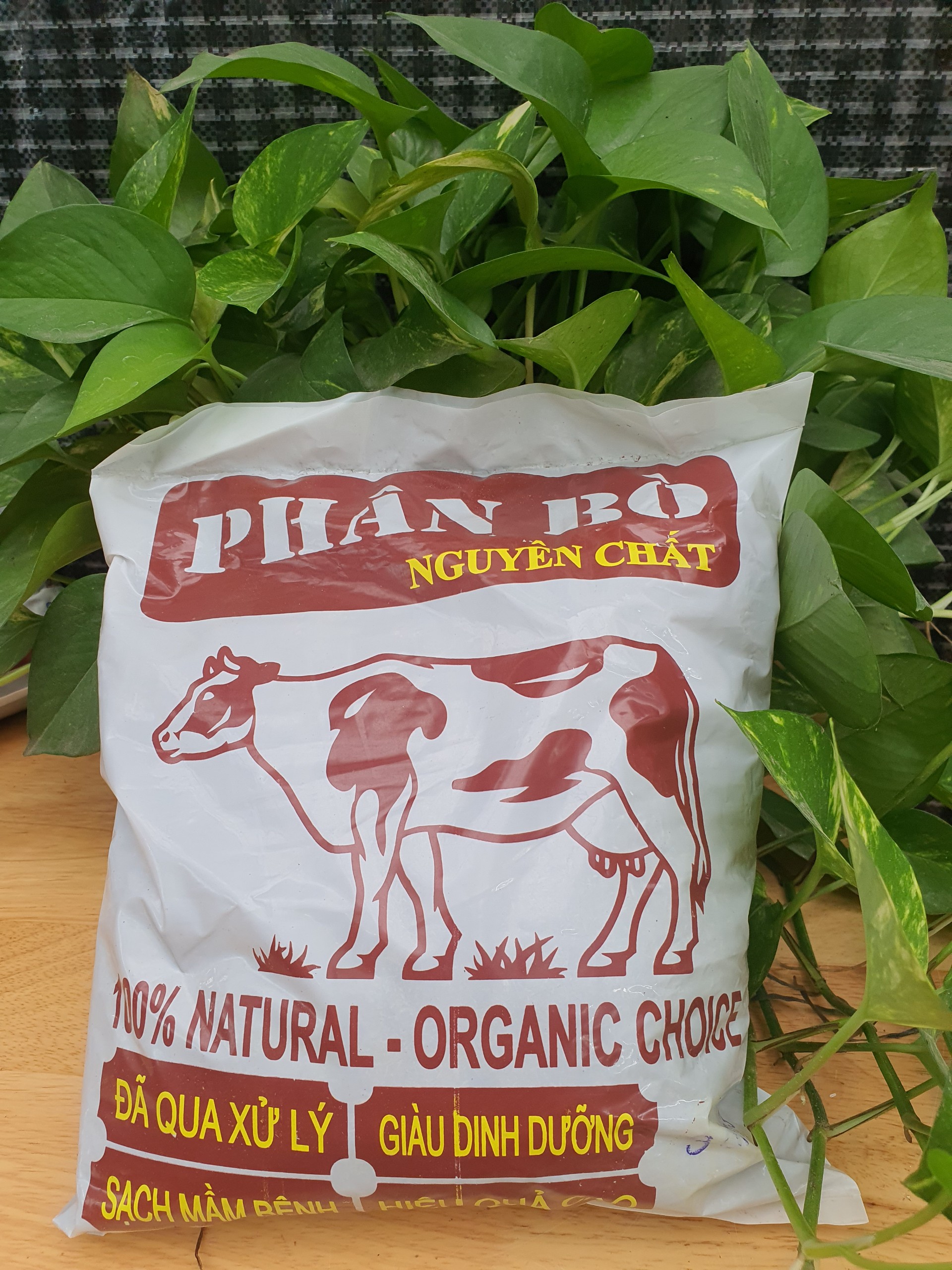 Phân Bò  3dm3 đã quy xử lý chuyên dùng cho cây cảnh - rau - hoa màu