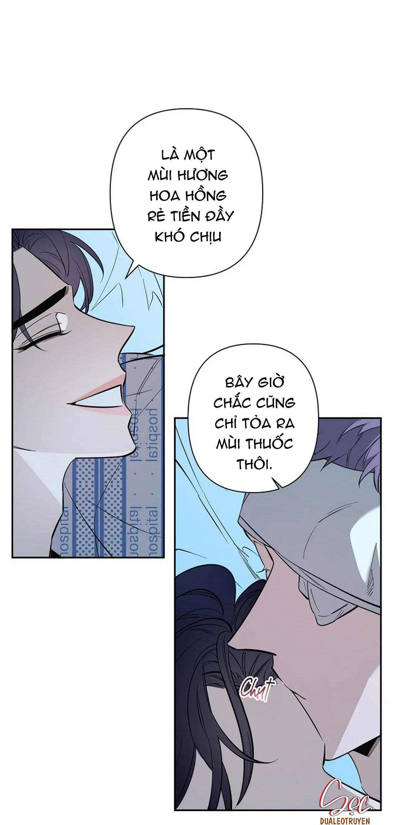 đêm dịu dàng chapter 71 13